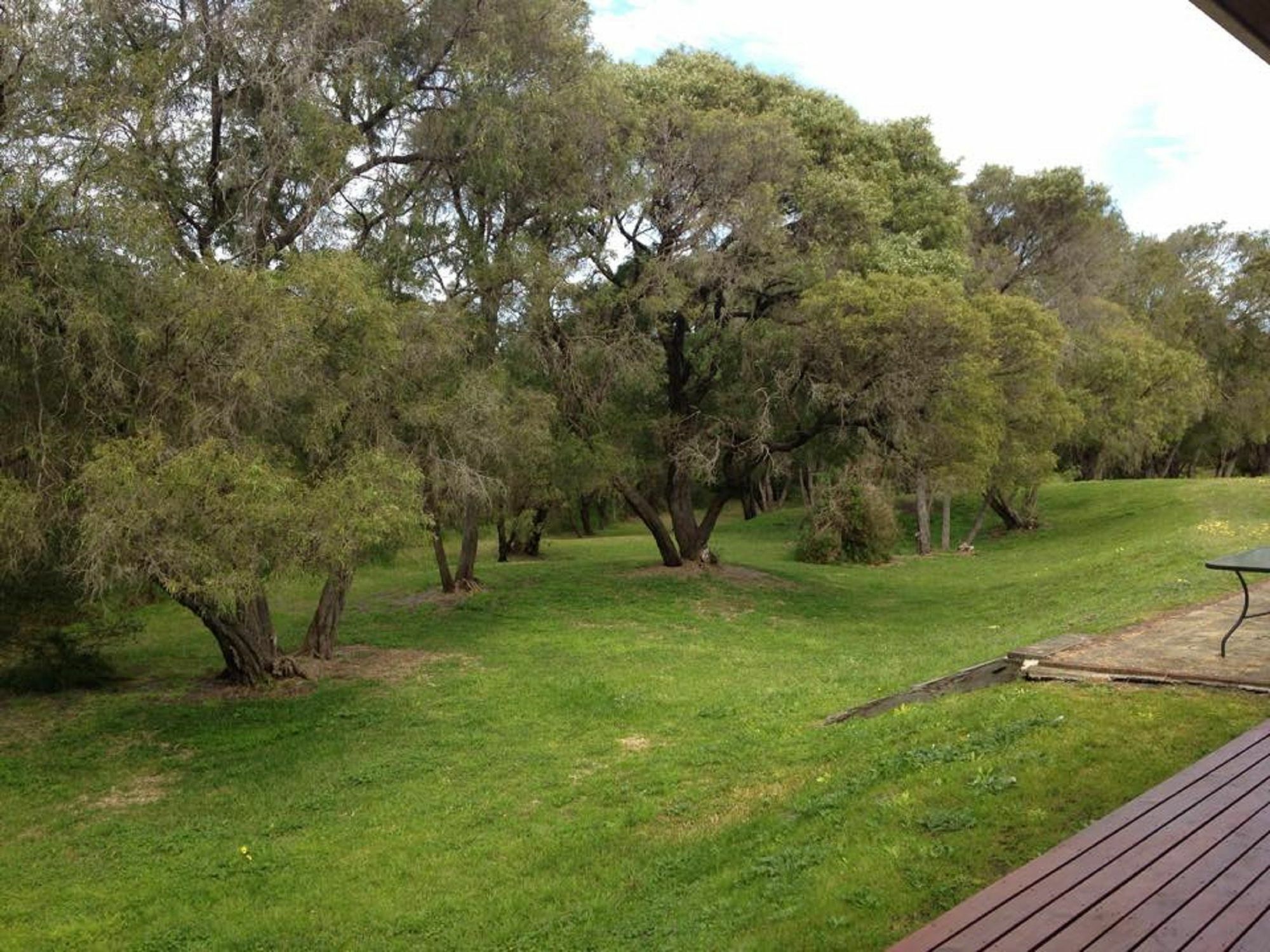 Emu Beach Chalets Albany Eksteriør billede
